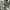 03739054_IF2 (1)