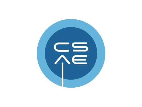 system partner csae