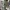 03739054_IF2 (1)