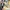 Messe_LogiMAT
