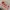 lp-track-and-trace-teaser-img-wysyłka-kompletacja-zamówień-04@2x