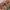 lp-track-and-trace-teaser-img-zarządzanie-magazynem-03@2x