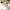 03741224_new